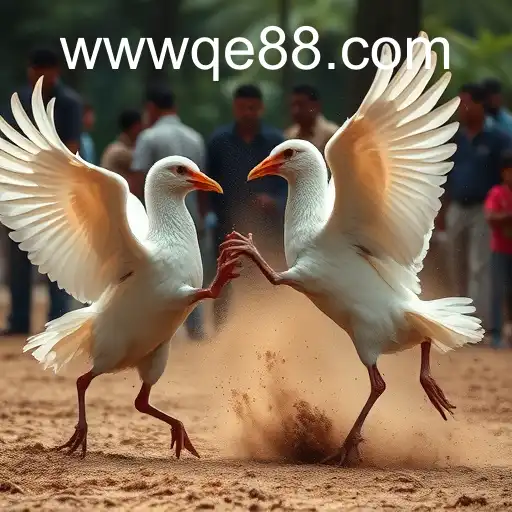 Jogos de Sabong: Tradição e Tecnologia se Encontram